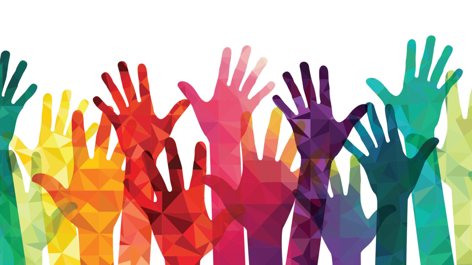 Inclusion and Opportunities
